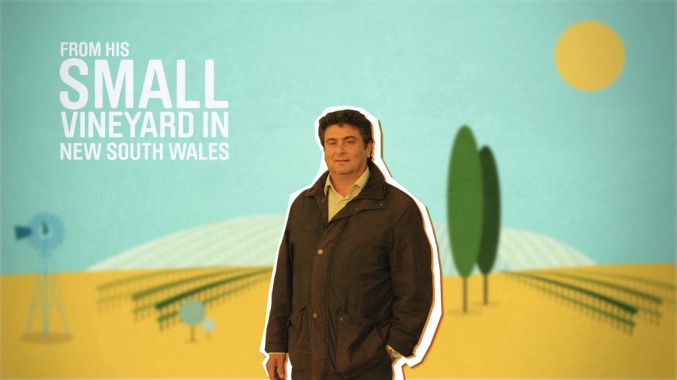 A frame from a motion graphics animation by Slurpy Studios (an animation studio in London). The image shows a man in front of a vineyard.