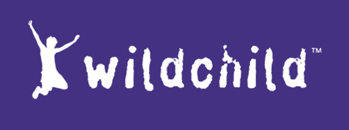 Wildchild Activity Animation Workshops