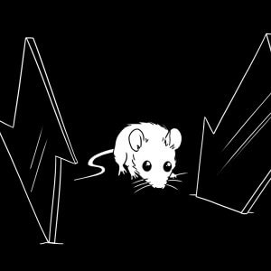 Truth Project Voicing CSA Charity Animation Film - The Mouse